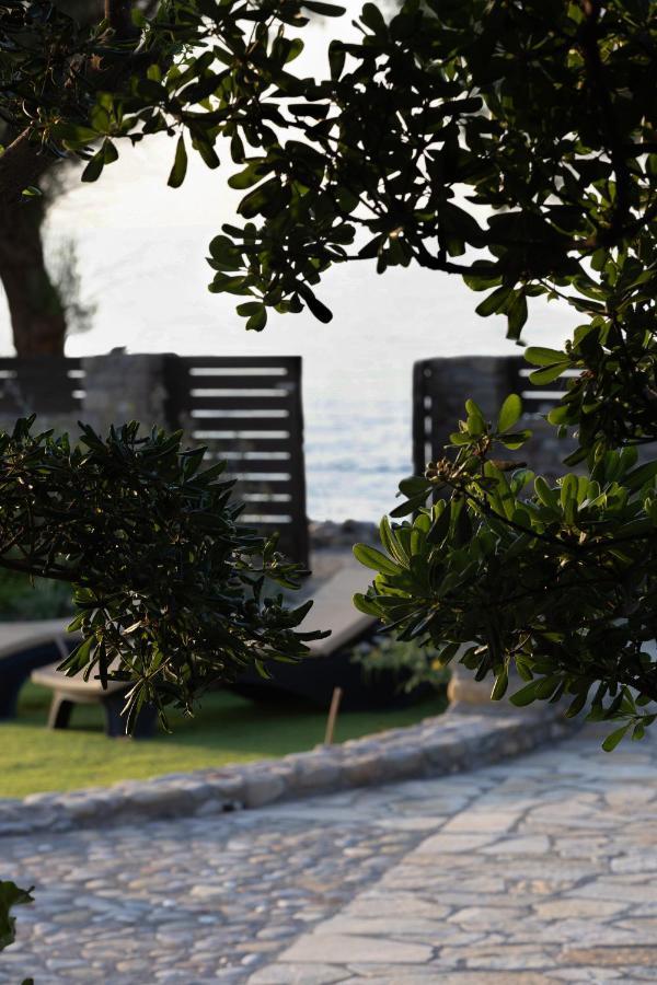 Villa Thalassa Stavromenos Beach Magnisía Zewnętrze zdjęcie